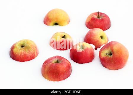 Red apples in the snow Stock Photo