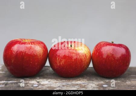 Three red apples on a gray background Stock Photo