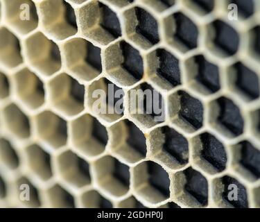 New Beeswax on Black Foundation Stock Photo