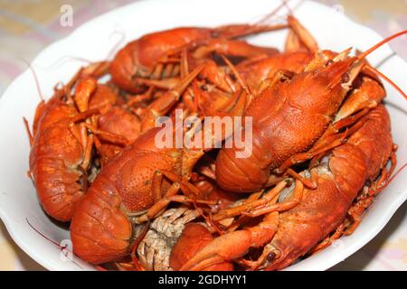 Boiled crayfish on a plate Stock Photo