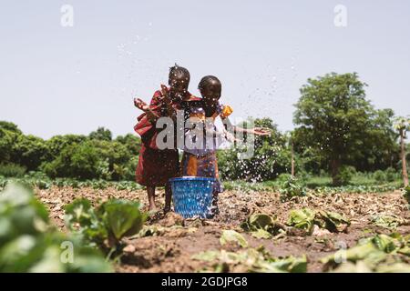Two pretty black girls are playing around wasting water on a sunny day in an African cabbage field Stock Photo