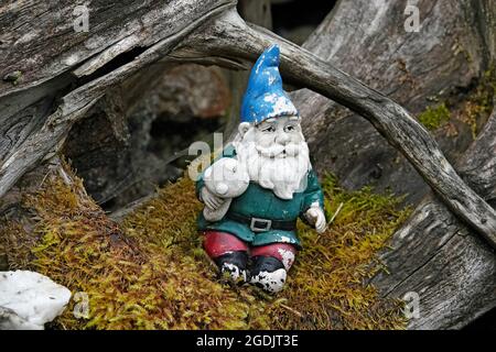 Detail of a garden gnome in an outdoor setting in Ketchikan, Alaska. Stock Photo