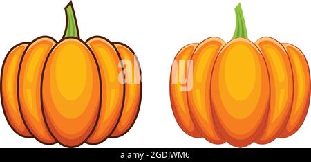 vector illustration pumpkin with outline and without outline, pumpkin isolated design Stock Vector