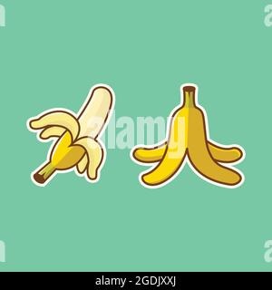 Banana set fruit vector illustration, banana vector, banana illustration, two banana, tropic fruit illustration Stock Vector