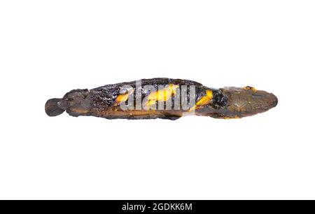 Cooked grilled catfish. On a white background. Clipping path. Stock Photo