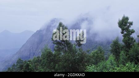 cloud covered palani hills and tropical rainforest from kodaikanal in tamilnadu, south india Stock Photo