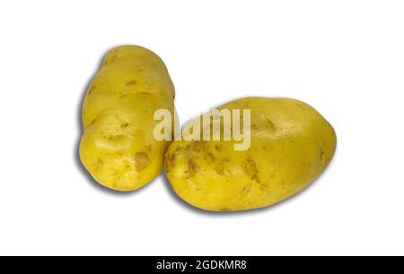 Potatoes for cooking or as a snack. Two pieces are placed on a white background. Clipping path. Stock Photo