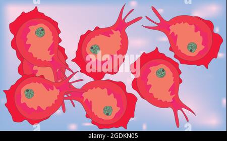 Brain eating amoeba, Naegleria fowleri, genus Naegleria, phylum Percolozoa, true amoeba, amoeboflagellate excavate,microscopic ameba, Stock Vector