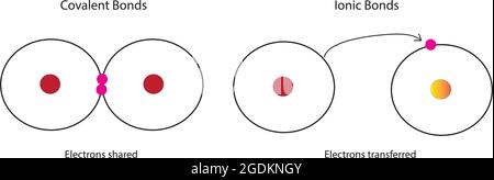 Chemical Structure of Covalent and ionic bonds, Anatomy Of Covalent and ...