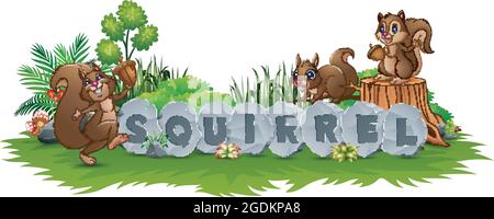 Squirrel are playing in the garden Stock Vector
