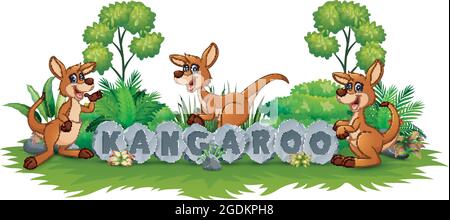 Kangaroo playing in the garden Stock Vector