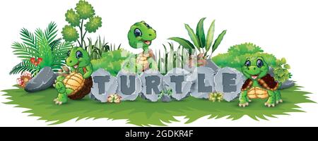 Turtle set collection cartoon in the field Stock Vector