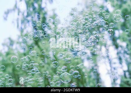 Soap bubbles floating in the air, green trees background. Stock Photo