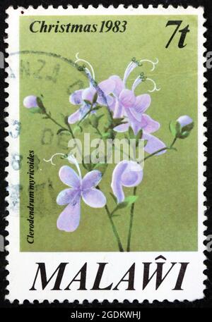 MALAWI - CIRCA 1983: a stamp printed in Malawi shows butterfly bush, clerodendrum myricoides, is a species of flowering plant native to Africa, circa Stock Photo