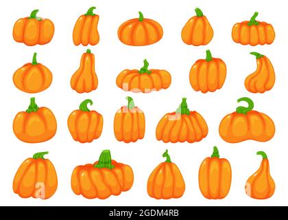 Cartoon halloween pumpkins, fall traditional orange pumpkin. Cute pumpkins in various shapes, squash vegetable, autumn decor element vector set. Healthy organic plant for thanksgiving day Stock Vector