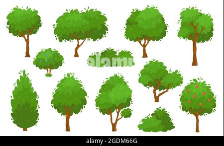 Cartoon green trees, bushes and hedges, forest or garden tree. Summer foliage plants, backyard shrub and bush, garden park plants vector set. Growing greenery, botanical elements isolated Stock Vector