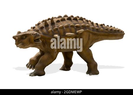 Ankylosaurus isolated on white background. Ankylosaurus is a herbivore genus of armored dinosaur lived during cretaceous period Stock Photo