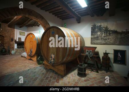 Abbadia Ardenga winemaker - Brunello winery, Montalcino, wine barrels, Tuscany, Italy Stock Photo