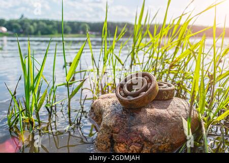 Rusty bearings, which have been in the water for many years, lie on a stone in the grass in the open air. The modern problem of ecology and environmen Stock Photo