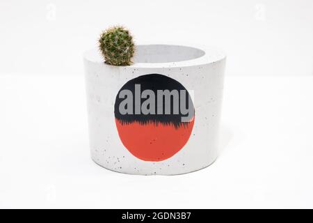Colorful, handmade cactus pot and cute little cactus on a white background with painted dot in the middle Stock Photo