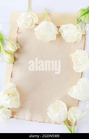 White tulips on paper background, copy space. Stock Photo