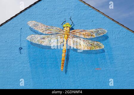 ATM - Norfolk Hawker Dragonfly mural in Lowestoft, Suffolk Stock Photo