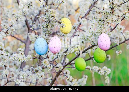 Easter eggs hanging on blooming hawthorn tree in the garden. Spring decor Stock Photo