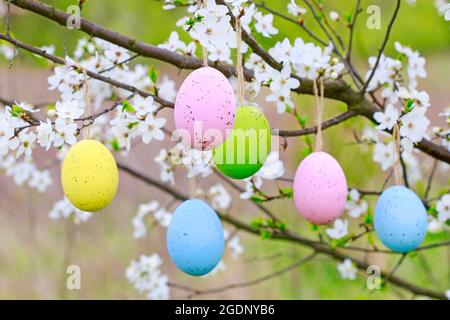 Easter eggs hanging on blooming cherry tree in the garden. Spring decor Stock Photo