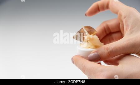 The close-up opens with a small jar of snail moisturizer on the lid. The use of snails in cosmetics Stock Photo