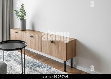 Dry eucalyptus branches in modern minimalist grey vase on wooden TV stand. Coffee table and carper details. Stock Photo