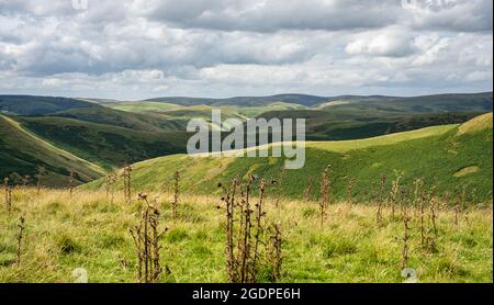 View of the Cheviot Hills in Northumberland National Park. Looking north from Clennell Street towards Kidland forest and the Scottish border Stock Photo