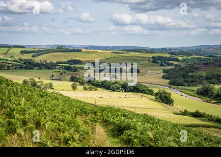 View east towards Alwinton and the Coquet Valley in the Cheviot Hills, Northumberland National Park. Stock Photo