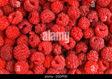 Closeup heap of fresh and ripe red raspberries. Organic food background. Stock Photo
