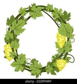 Round Frame. Vine with foliage and bunches of grapes. Viticulture and farming. Branches with berries on a dense bush. Young vineyard. Sweet autumn Stock Vector