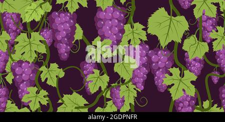 Purple red grape bunches on the vine. Branches with berries on a dense bush. On dark background. Young vineyard. Sweet autumn harvest. Seamless Stock Vector