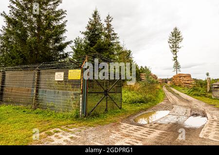 A yellow sign reading "Original fence, signal/security fence" marks a gate at the Grenzmuseum Sorge (border museum) in Sorge, Saxony-Anhalt, Germany. Felled spruce trunks are already stacked at the roadside in the background. The open-air museum preserves original sections of the inner-German border and commemorates the division of Germany. Stock Photo