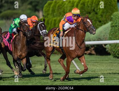 August 14, 2021, Saratoga Springs, NY, USA: August 14, 2021: HALLADAY #6 GOT STORMY, ridden by TYLER GAFFALIONE, wins the The FourStarDave gr1 at Saratoga Race Course in Saratoga Springs, New York. Rob Simmons/CSM Stock Photo