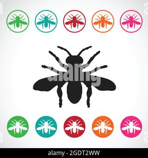 Vector group of insects on white background. Bee. Easy editable layered vector illustration. Wild Animals. Stock Vector