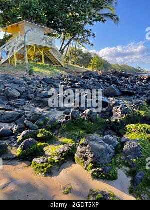 Ocean waves lap the golden shores and seaweed-strewn rocks of Ka'anapali Beach in Lahaina, Hawaii. Stock Photo