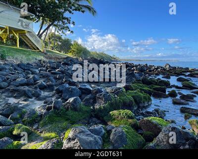 Moss-covered volcanic rocks cover a beach in Lahaina, Hawaii.