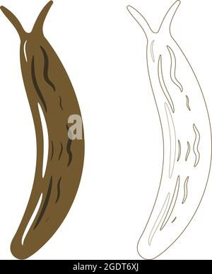 Realistic Top View of Land Slug. Isolated on White Background. Insects Bugs Worms Pest and Flies. Stock Vector