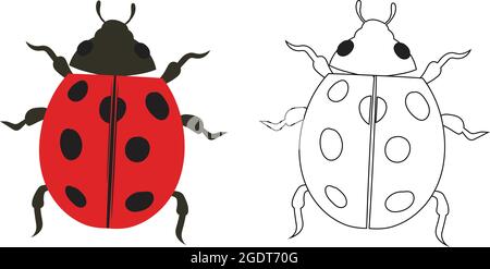 Ladybug beetle ladybird Illustration Fill and Outline Isolated on White Background. Insects Bugs Worms Pest and Flies. Entomology or Pest Control Stock Vector