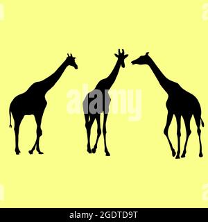 Shapes of giraffe silhouettes on white background vector illustrations isolated on yellow background Stock Vector