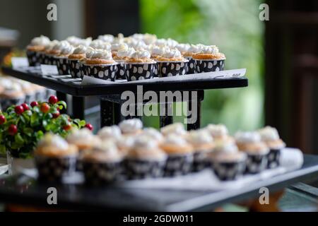 many cupcakes on table for lunch Stock Photo