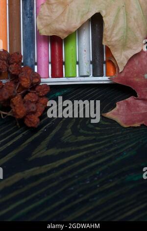 A set of pastels crayons for school. They lie in a box on pine boards. Nearby autumn maple leaves. Stock Photo