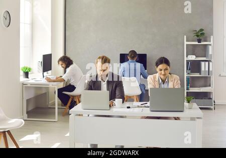 Team of employees sitting at office desks and working on laptop and desktop computers Stock Photo