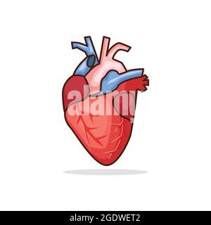 human heart organ vector stock illustration isolated design on white background Stock Vector
