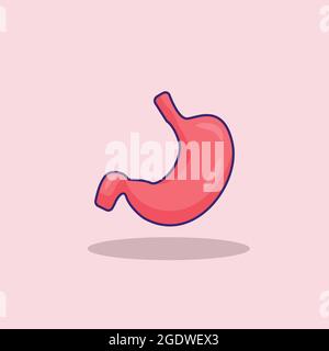 human stomach organ vector stock illustration, stomach isolated design Stock Vector
