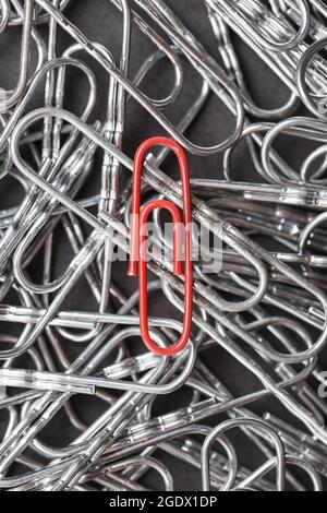 A red paper clip stands out against a textured background of silver paper clips. Concept Stock Photo