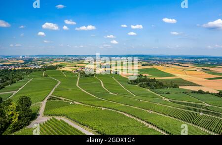 Landscape in Germany in Baden Wuertemberg. Heilbronn and surrounding area, seen from Heuchelberg, vineyard and plane